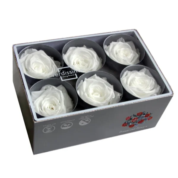 TC-White_3 Trandafir criogenat alb