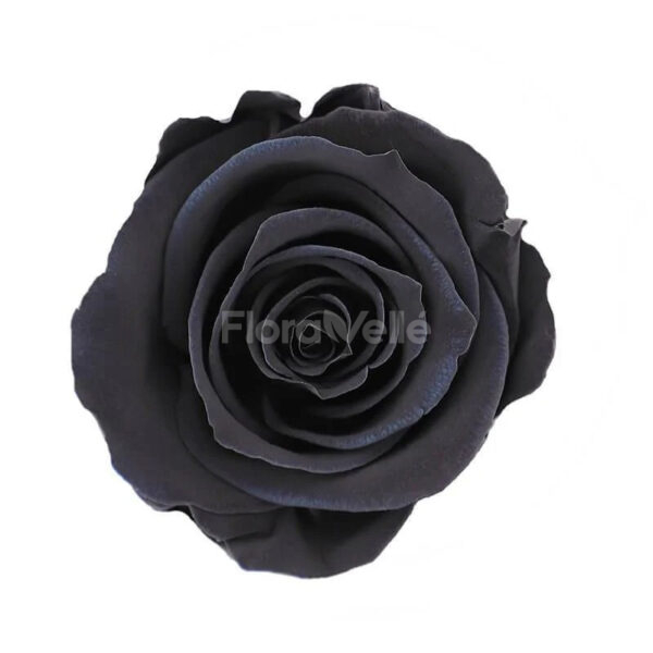 Trandafir criogenat Negru