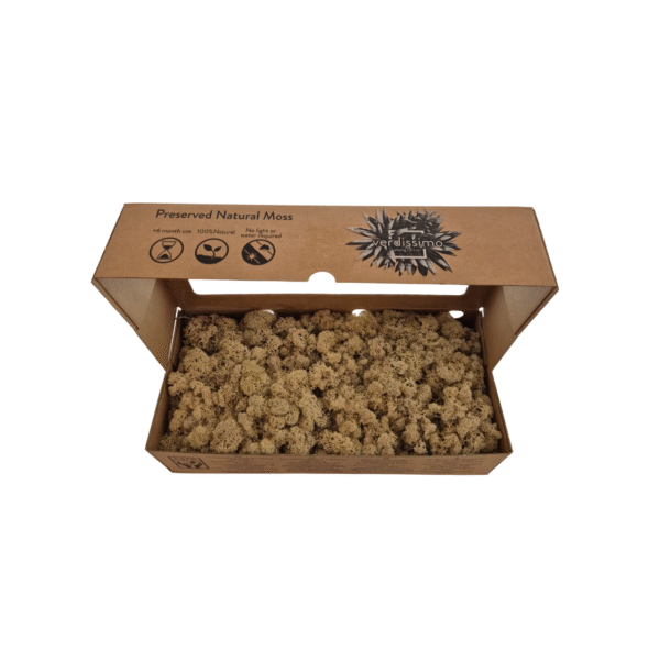 Licheni stabilizati Alb Natural