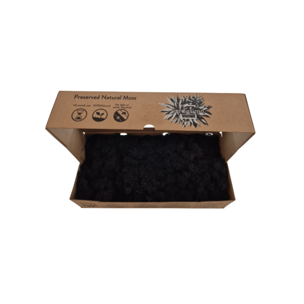 Licheni stabilizati Negru