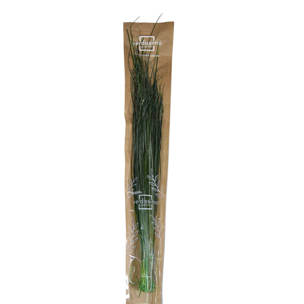 trandafiri_criogenati_flori_criogenate_ecriogenat_foliaj_bear_grass_2 Trandafiri criogenati flori criogenate ecriogenat foliaj bear grass 2