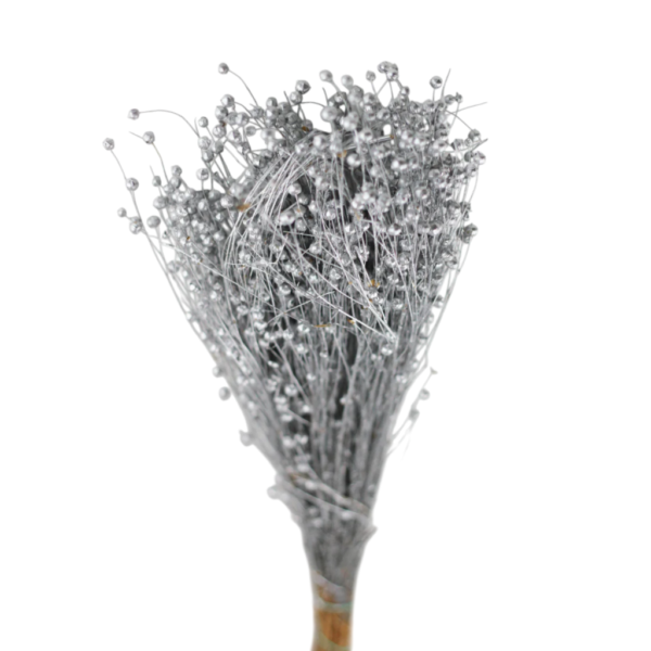 Lino Grass – In Decorativ uscat Argintiu/Silver