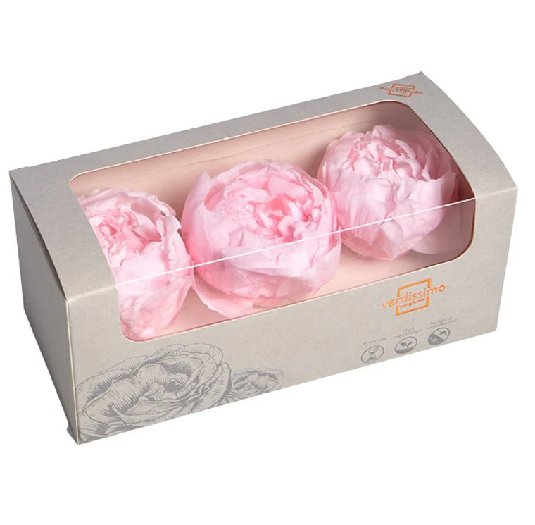 Bujor Paeonia Roz Pastel criogenat