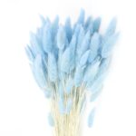 Lagurus uscat Albastru Deschis/Baby Blue