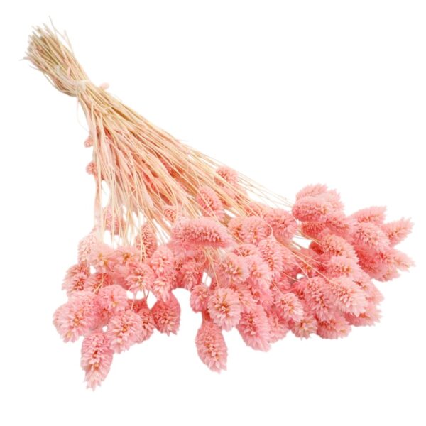 Talaris uscat Roz Deschis/Baby Pink
