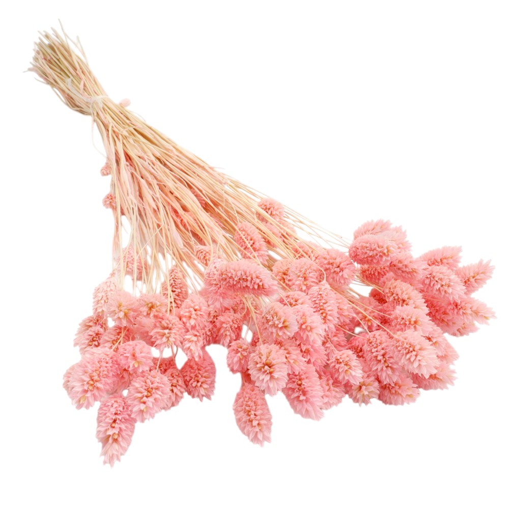 Talaris uscat Roz Deschis/Baby Pink