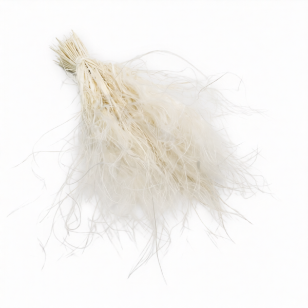 Stipa Pennata uscata Alb