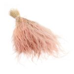 Stipa Pennata uscata Roz Deschis/Baby Pink