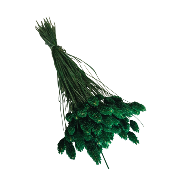 Talaris uscat Verde Smarald/Padure   25/50/100 gr 